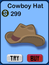 Cowboy Hat