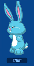 RabbitBlue