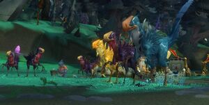 Ravenok racers