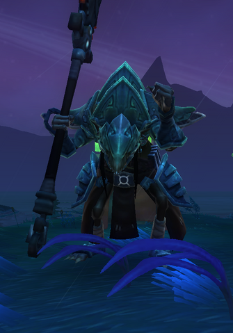 File:ElderSpiritWalker.png