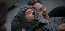 Wilfred-c