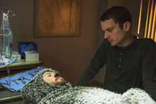 WILFRED-Season-3-Uncertainty