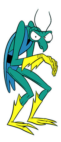 Zorak