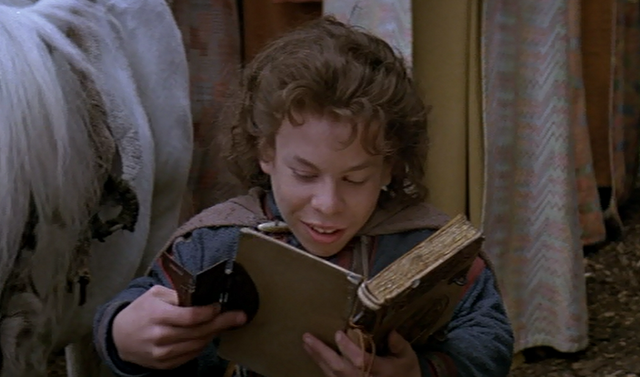 File:Book of magic.png