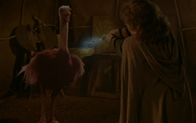 File:Ostrich.png