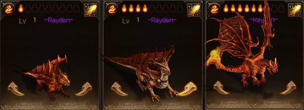Pets Rayden 3Stages IGGDE