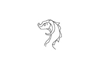 HYDRAWING