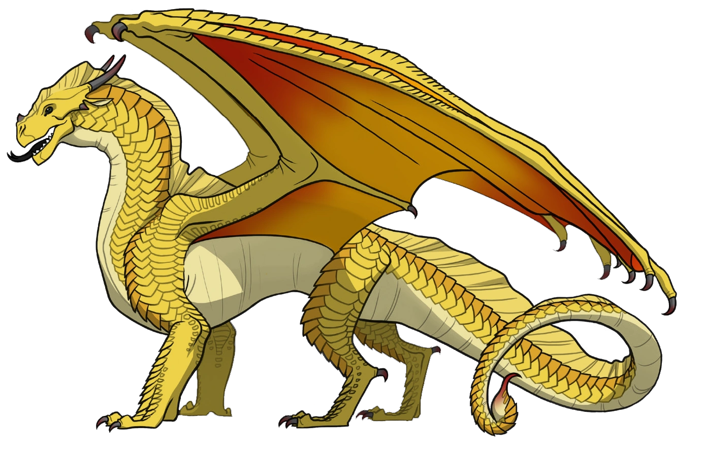 I need your characters! Wings of Fire Wiki Fandom powered by Wikia