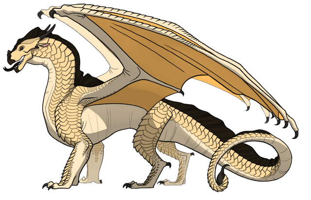 File:IMG 9470.png
