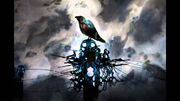 Crow