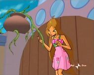 Flora4