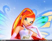 Bloom 3D