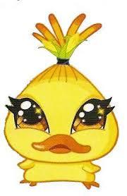 Chicko.jpg