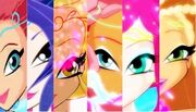 OldWinxClubBloomix.jpg
