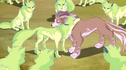 MagicLobosT7.png