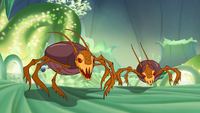 Plant mites