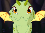 Buddy.png