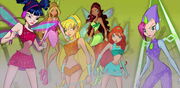 2x12-WinxJuntas