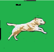 Zeus