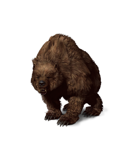 File:Tw3 journal bear.png