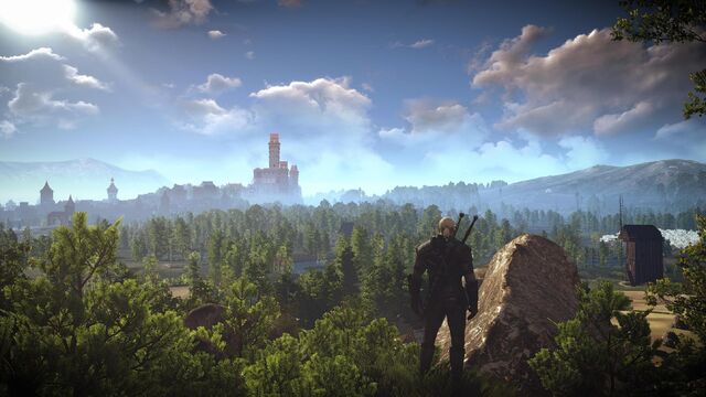 File:Tw3 Novigrad woods.jpg