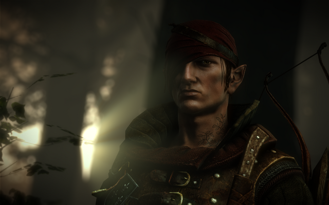 File:TW2-Iorveth.png