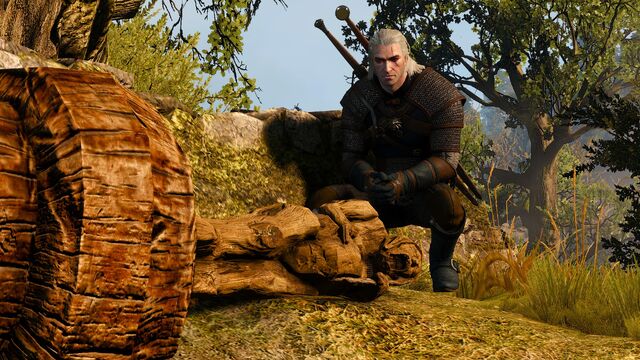 File:Tw3 defender of faith.jpg