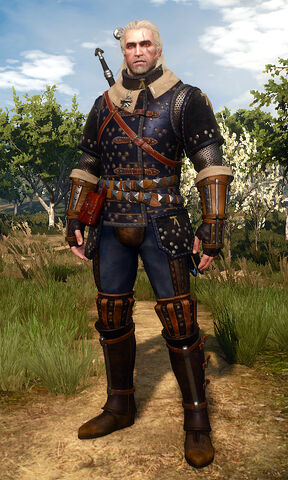 File:WitcherGearCatLv4.jpg