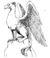 Gryf RPG.jpg