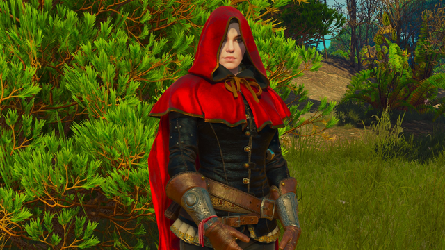 File:Tw3 Sylvia Anna in hood of Riding Hood.png