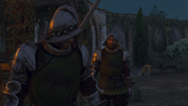 File:Tw3 Dun Tynne Guard.png