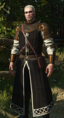 File:Tw3 Oathbreaker armor.png