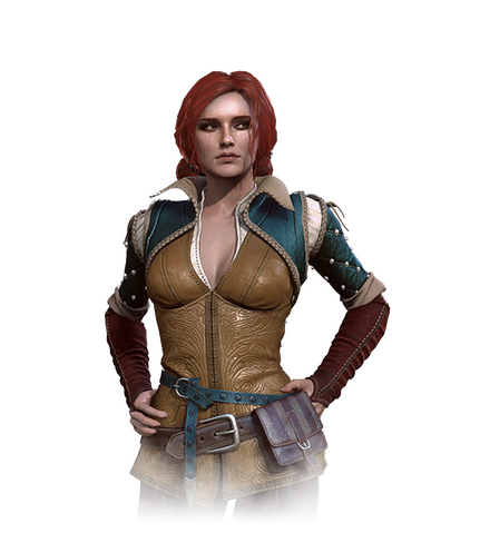 File:Tw3 journal triss.png
