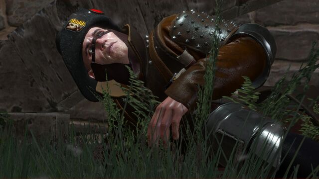 File:Tw3 Closed City of Novigrad II.jpg