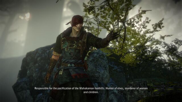 File:Witcher2 2011-10-18 20-31-29-70.jpg