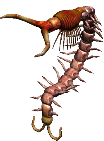 File:Giant Centipede23.png