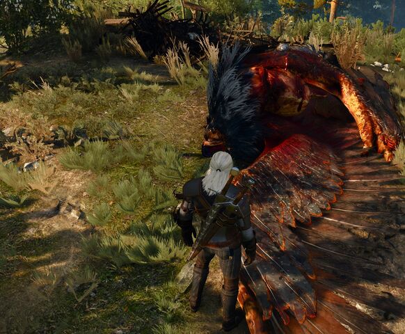File:Dead griffin.jpg