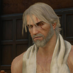 Beard and Hairstyle Set | Witcher Wiki | FANDOM powered by ...