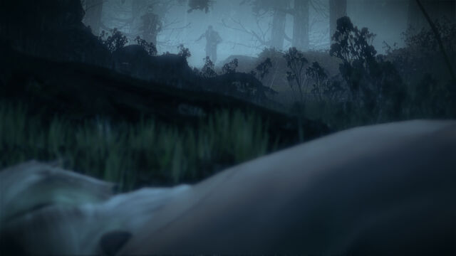 File:Witcher2 2016-09-23 15-08-08-822.jpg