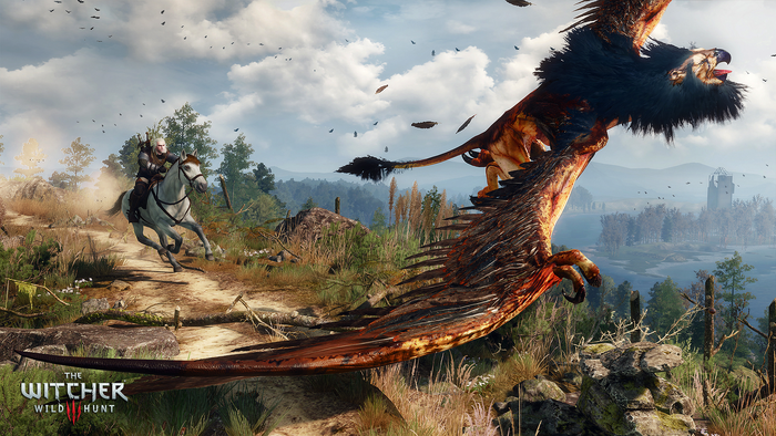 Witcher-Wild-Hunt-Griffin-Chase