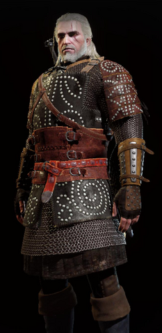 File:Tw3 hindarsfjall heavy armor full.png