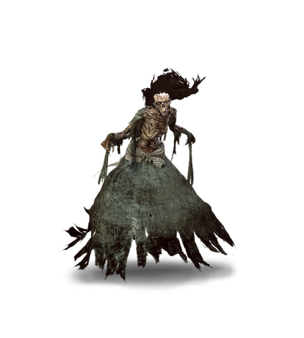 File:Tw3 journal nightwraith.png