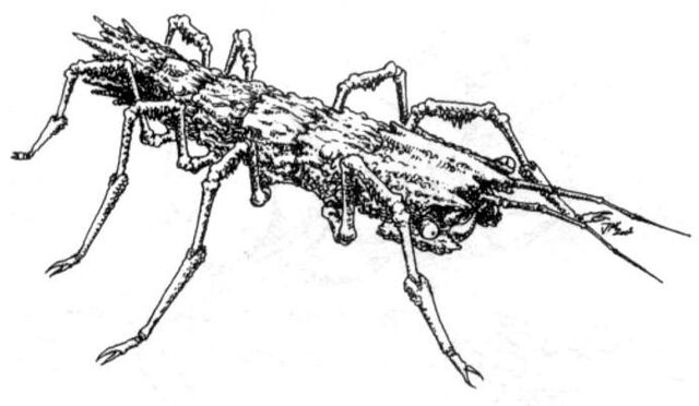 File:Okoglow RPG.jpg