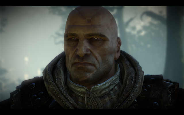 File:Witcher2-kingslayer-001.png