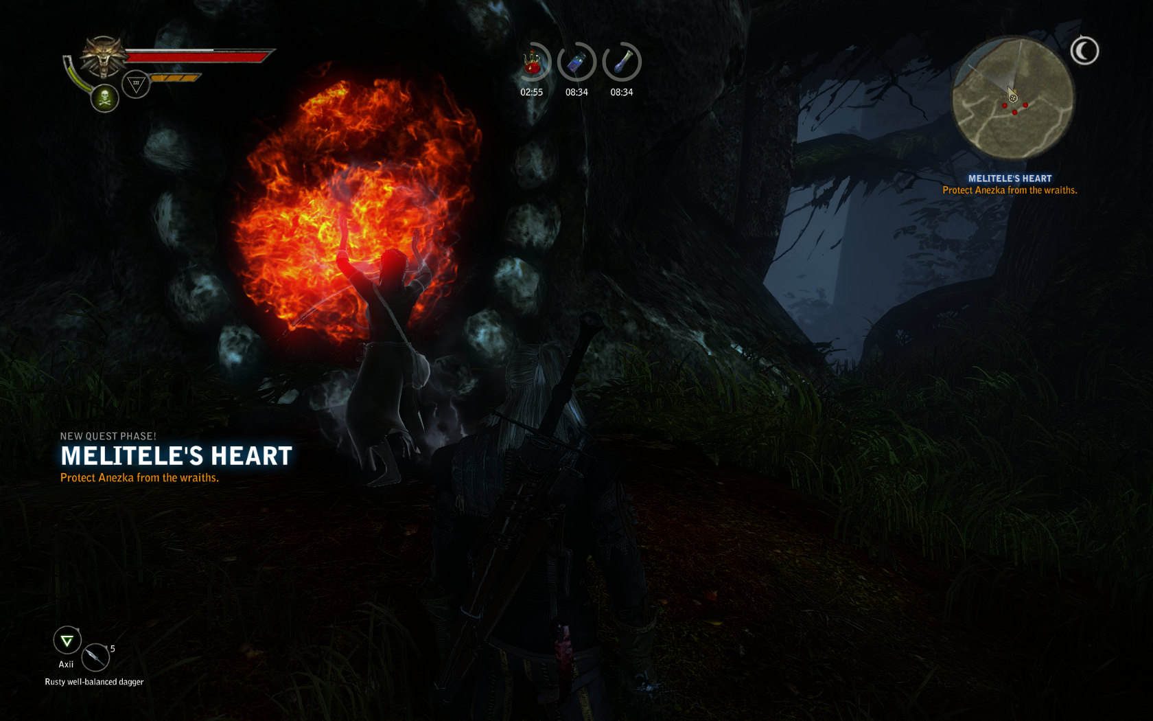 wild at heart witcher wild at heart witcher