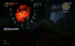 Witcher2-anezka-ritual-01.png