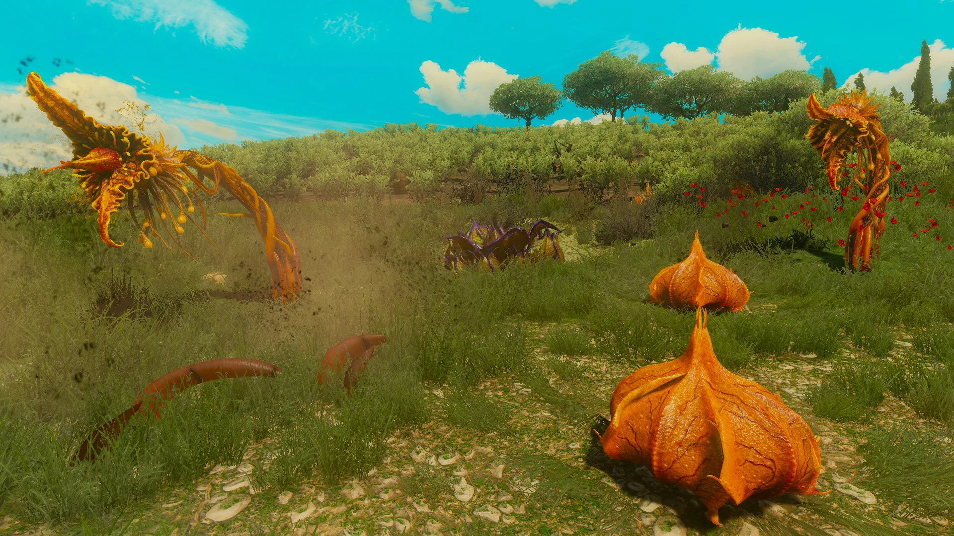 ведьмак 3 арт архиспора. археспоры ведьмак 1. ведьмак 3 ремастер. археспора ведьмак. археспоры ведьмак 1.