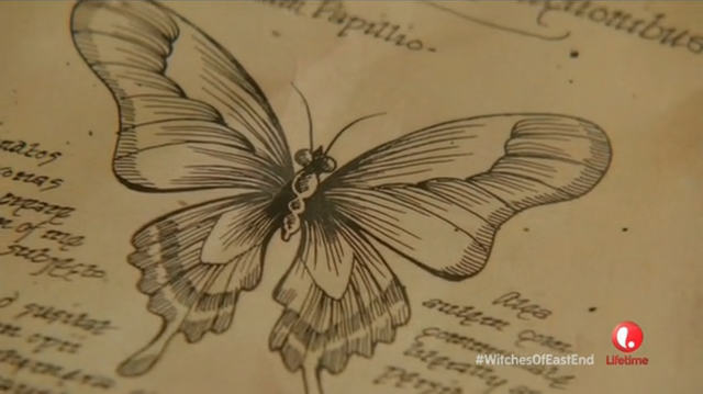 File:Butterfly.png