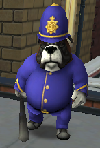 Sergeant Steeg