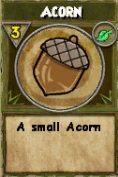 Acorn